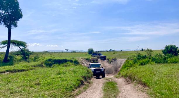 istock Kenia 2023 - Maasai Mara - going offroad 1469723025