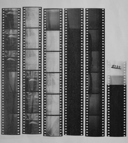 Randomly placed 35mm negative strips on a white background. Gritty real scan.