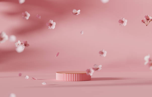 fundo 3d, exibição de pódio rosa. sakura flor rosa caindo. cosméticos ou promoção de produtos de beleza passo floral, pedestal pastel. resumo de publicidade mínima. modelo de mola de cópia de cópia de renderização 3d. - cherry blossom flower head spring flower - fotografias e filmes do acervo