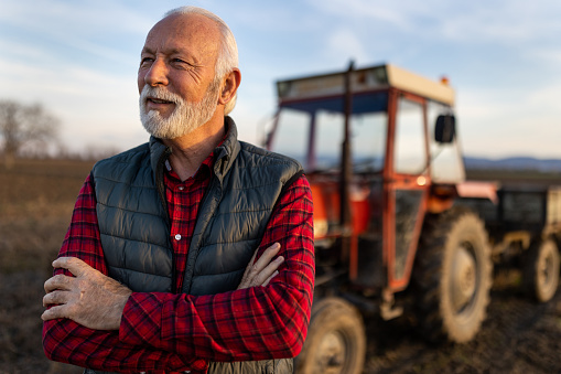 Portrait of senior farmer with white hair and beard standing in front of tractor in field in late autumn time