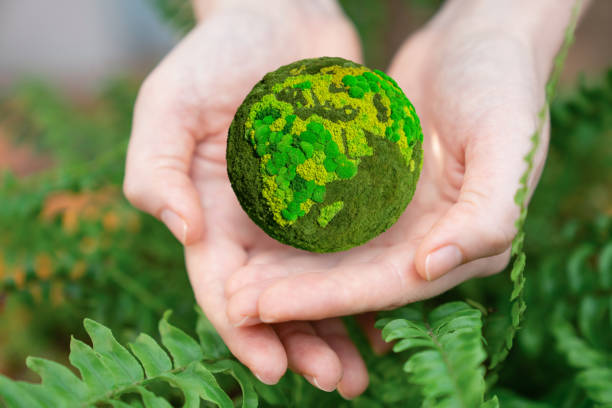 istock Woman holds a green planet Earth. 1469731301