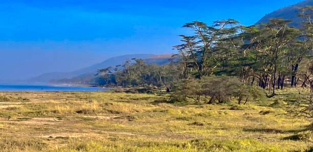 Kenia 2023 - Lake Nakuru Nationalpark – Foto