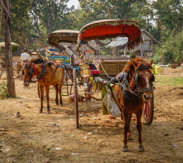 carretas de caballos esperando a los turistas - 2605 fotografías e imágenes de stock