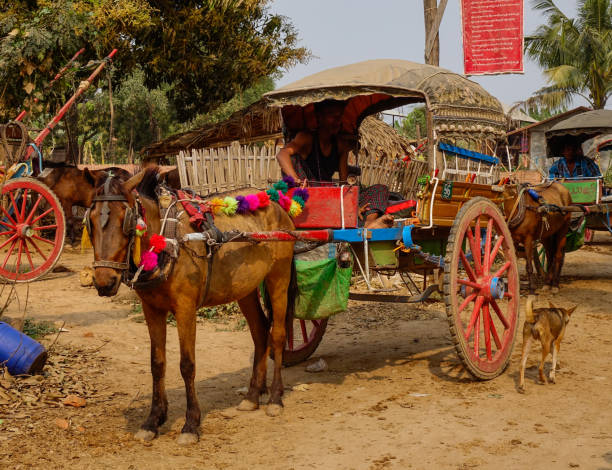 Horse carts waiting for tourists Bagan, Myanmar - Feb 22, 2016. Horse carts waiting for tourists in Bagan, Myanmar. theravada photos stock pictures, royalty-free photos & images