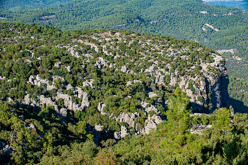 Conglomerate rocks and pine forest / Köprülü Canyon National Park