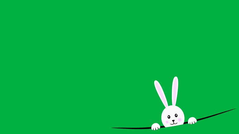 half bunny face animation on green screen concept for Easter holiday.