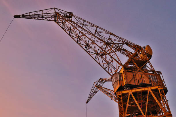 grue à port madero - construction built structure building activity shipyard photos et images de collection