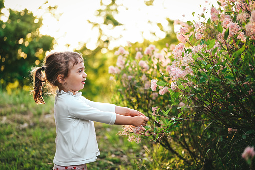 little girl enjoy nature on sunset garden.