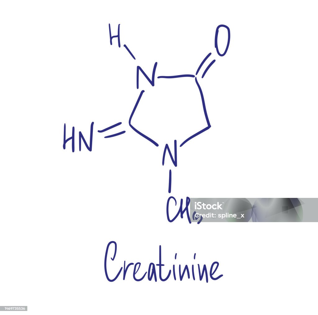 Creatinine Vector Creatinine Chemical Structure Vector Illustration Hand Drawn Stock ...