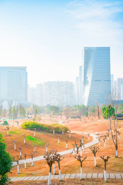 istock Sunny Chengdu Financial City 1469741969