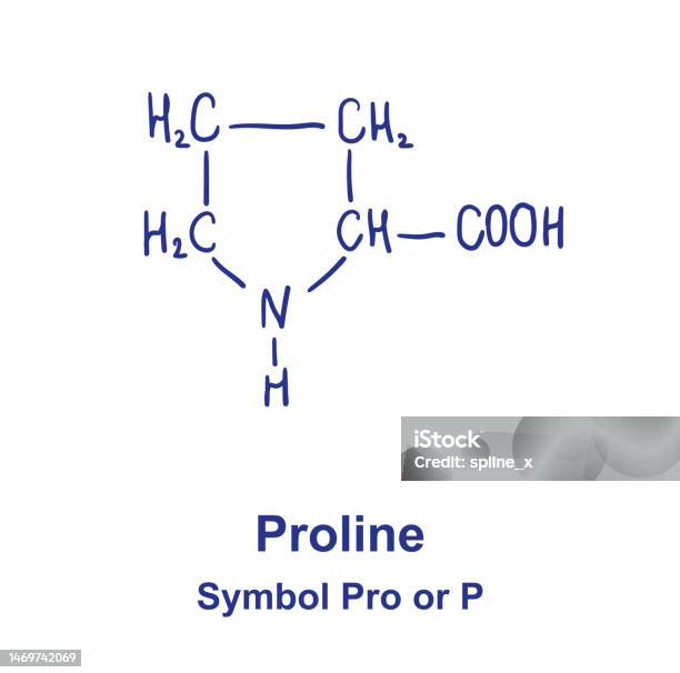 Pro Line Sign Proline Chemical Structure Vector Illustration Hand Drawn Stock ...