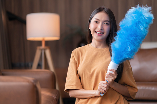 Young housewife asian female woman hand using feather duster to clead sofa in living room morning weekend at home
