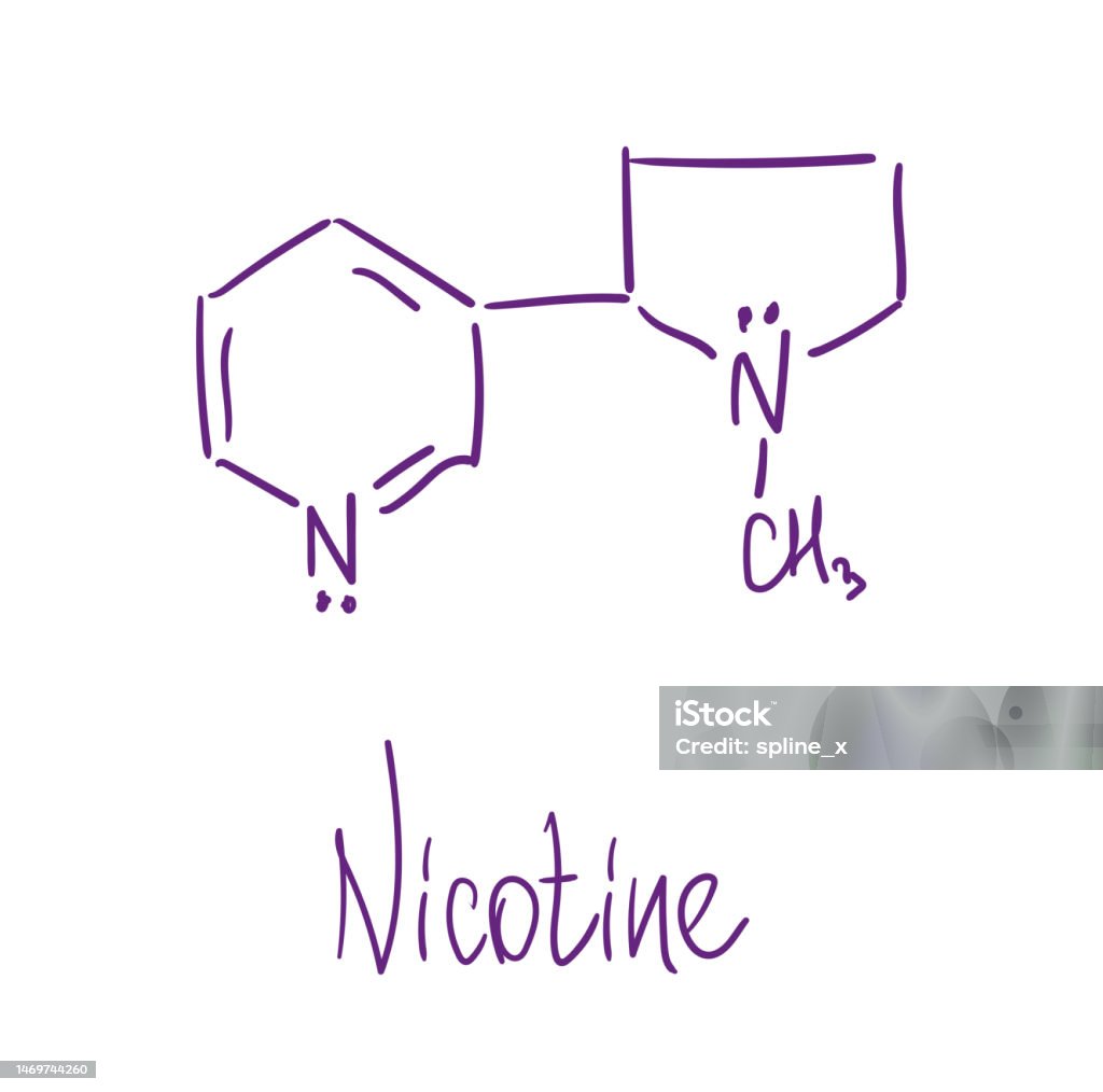 Nickotin Nicotine Chemical Structure Vector Illustration Hand Drawn Stock ...