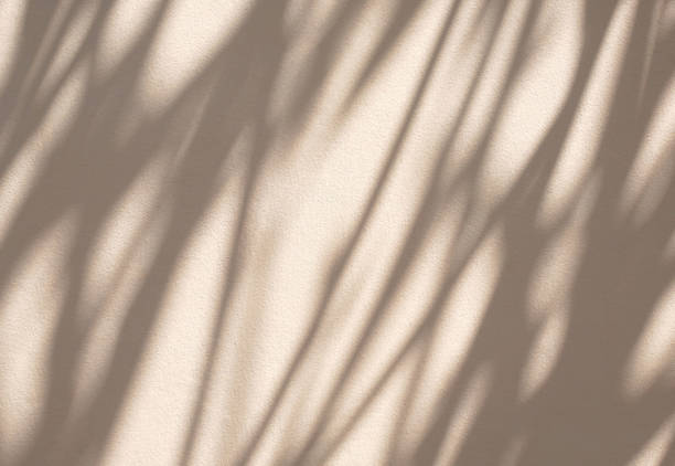 istock Abstract light and shadow of leaves bokeh blurred background. 1469745681
