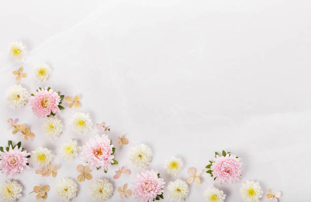 istock Spring frame of small flowers and daisy, floral arrangement 1469745692