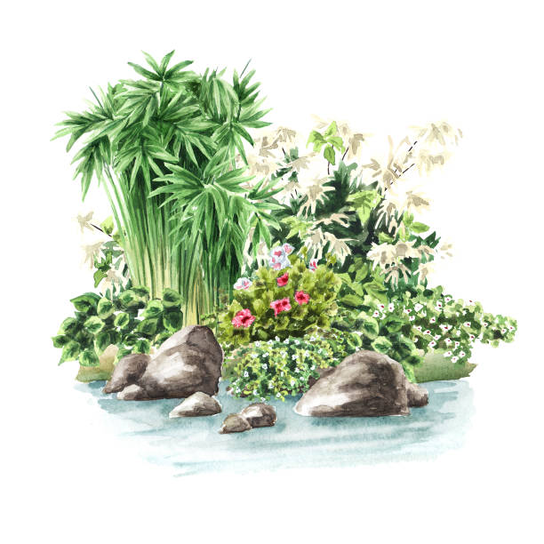 istock Garden Decorative pond shore, Landscape design element.  Hand drawn watercolor illustration isolated on white background 1469746190