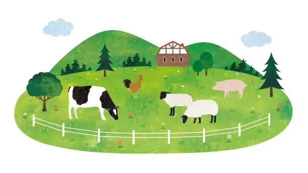 Vector illustration of Scenery of a farm watercolor