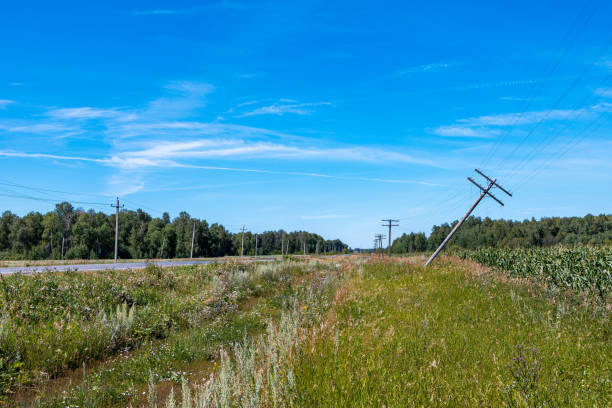 istock inclined electric pylons in a field with corn 1469753315