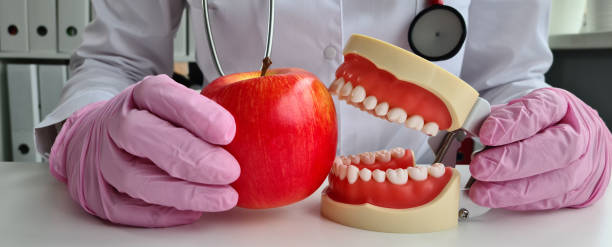istock Dentist holding artificial jaw and apple closeup 1469756628