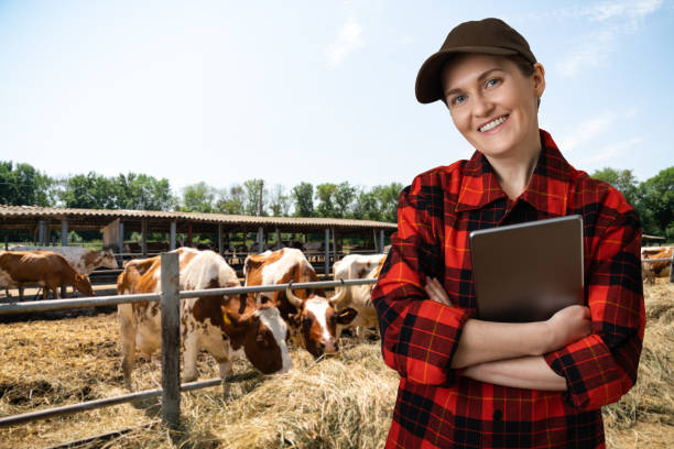 istock Farmer with tablet computer inspects cows at a dairy farm. 1469756808