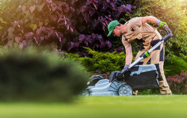 Garden and Landscaping Worker Mowing  Backyard Lawn stock photo