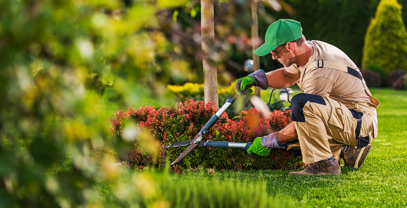 Caucasian Garden and Landscaping Services Contractor in His 40s with Hedge Shears Performing Spring Time Back Yard Maintenance.