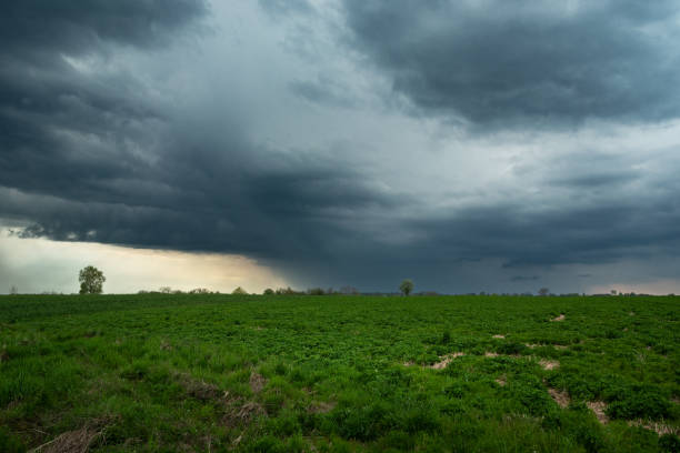 istock Rainy cloudy sky over green fields, Czulczyce, Poland 1469761478