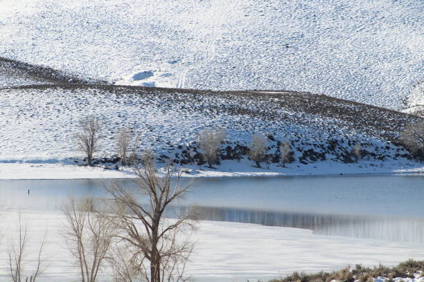istock Winter Beauty Topaz Lake, CA 1469762488