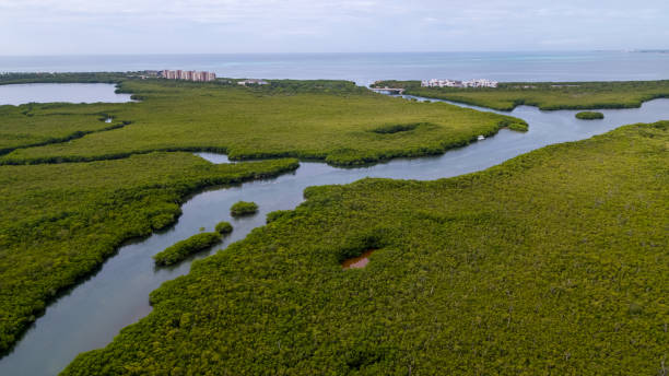 istock Cancun Hotel Zone Amazing Caribbean Beach 1469762765