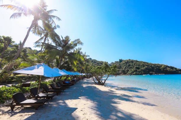 istock Beautiful White Sandy Beach on the Samet Island 1469764453