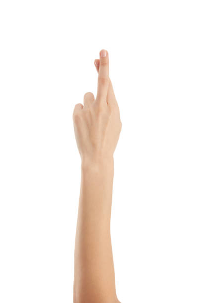 istock Beautiful Female Hand Over White Background 1469770506