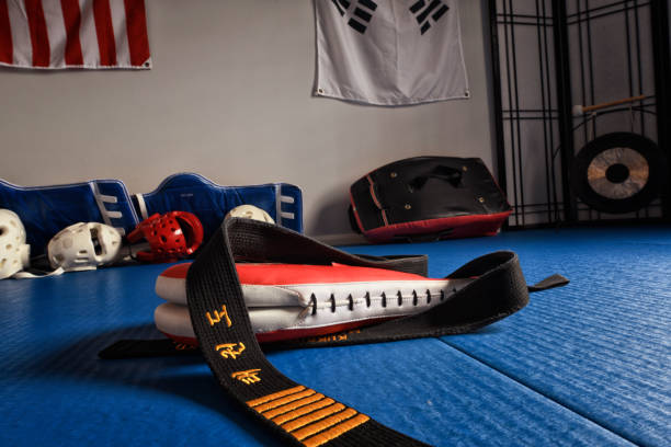 Tae Kwon Do training gym with black belt and focus training target (“Tae Kwon Do” is written in Korean script on the black belt).