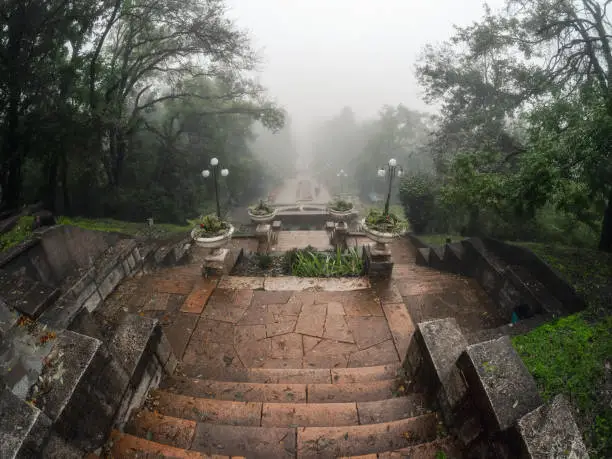 Photo of Soft focus. Beautiful old stone staircase in the misty park of Zheleznovodsk. Old stone staircase in the autumn misty park. Stairs down.