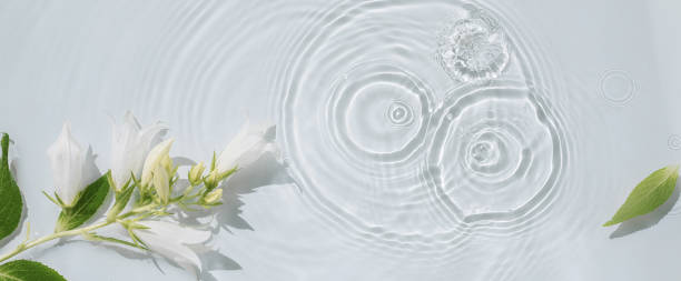 istock Water background with flowers, drops and circles on the water 1469775420
