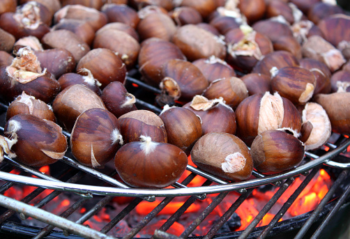Roasting Organic  Chestnuts on metal grill over coal embers , close-up view. Magosto, Ourense province, Galicia, Spain.