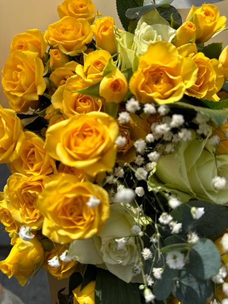istock Yellow roses for friends 1469776948