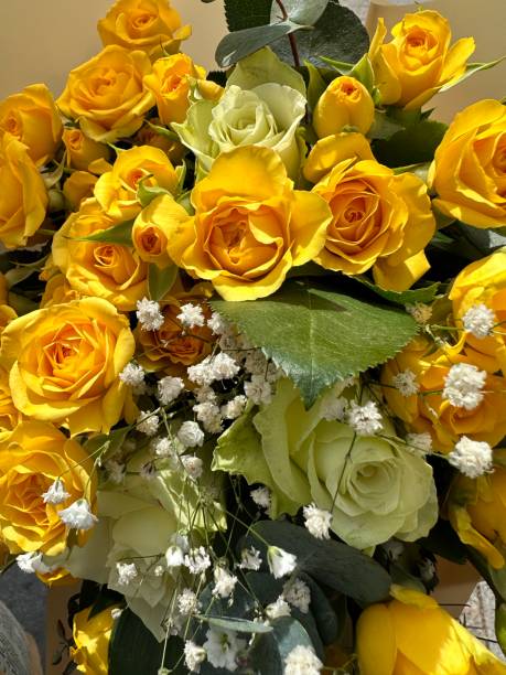 istock Yellow roses for friends 1469776960
