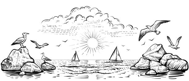 illustrations, cliparts, dessins animés et icônes de vue panoramique sur la plage avec mouettes et bateaux. illustration panoramique de mer vectorielle avec vagues et rochers. - silhouette nautical vessel sea morning