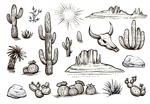 Desert set vector sketches. Hand drawn black and white line cactus, rocks, skull, and elements of the landscape.