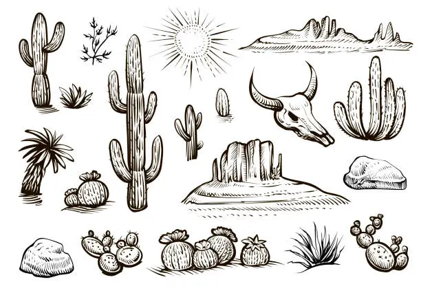 Vector illustration of Desert set vector sketches. Hand drawn cactus, rocks, skull, and desert elements.