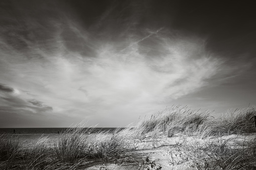 Dune landscape in Norddeich at winter, North Sea, East Frisia, Lower Saxony, Germany-Black and white Image