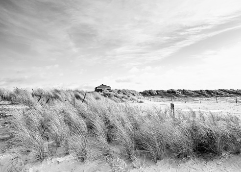 Dune landscape in Norddeich at winter, North Sea, East Frisia, Lower Saxony, Germany-Black and white Image