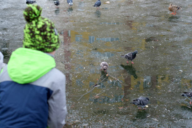 Amsterdam, Holland- June 17, 2014. Dam Square, near Royal Palace of Amsterdam and National Monument across. People enjoying feeding pigeons on the square.
