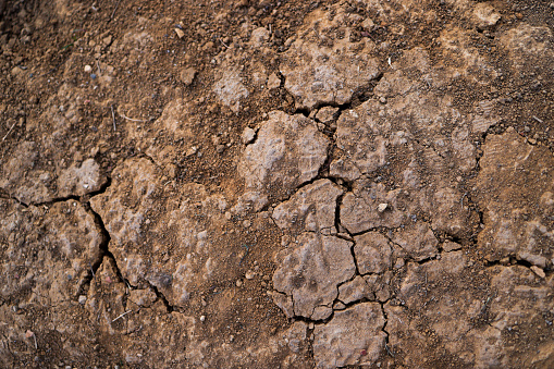 Bolu, Turkey-November 14, 2022: Close-up shot of cracked dry soil in Yedigoller. Shot with Canon EOS R5.