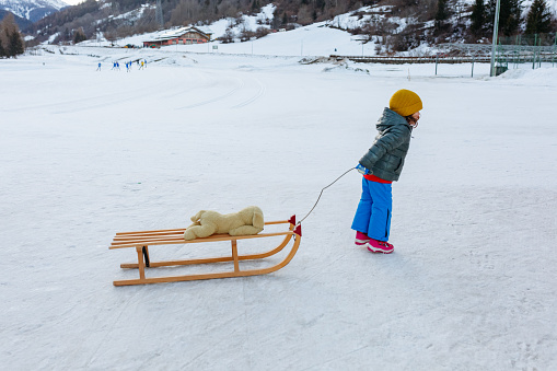 little child in colourful winter clothes pulling wooden sled with toy dog on the snow