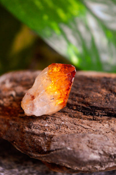 istock Citrine quartz mineral on collection 1469786968