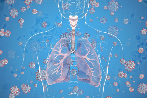 CG image of woman's chest area showing both lungs in isolation, with magnified view of alveoli air sacs labeled on faded flesh tone and white.