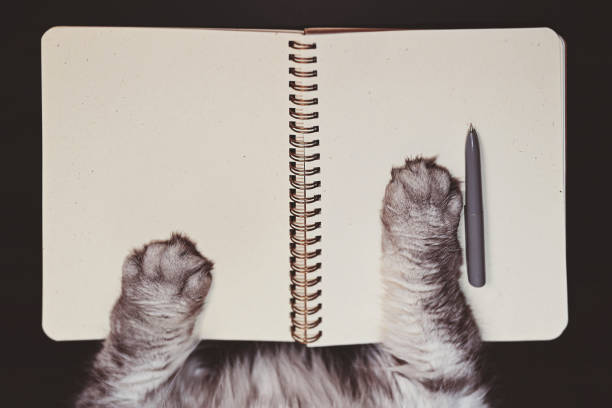 The cat makes notes in the paper notebook, only paws are visible. Top view, place for text.
