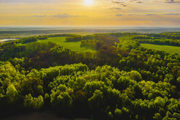Aerial view of meadow. Drone photography. Forest. Spring. Field. Sustainability. stock photo