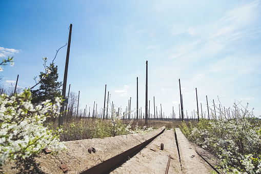 Vertical construction of the astronomical radio telescope observatory on the territory of the Institute of the ionosphere in the Kharkiv region, on a spring sunny day